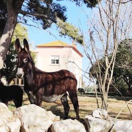 Au cœur de la Nature, hotel em Coursan