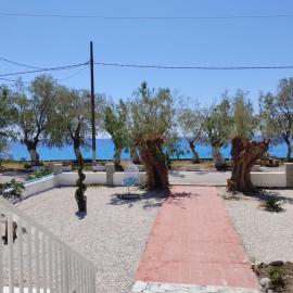Zorbas, hotell i Sougia