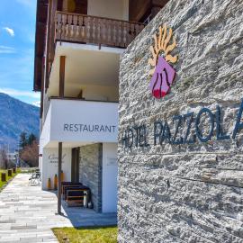 Hotel Pazzola, hotel in Disentis