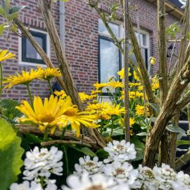 Grytmanshoeve, Vakantiehuis met glamping, hotel din Niawier