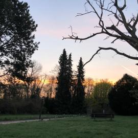 Ferienwohnung Apartment Doppelzimmer in der Villa Naturpark Rheinblick, ruhig, Aussicht, Pool, hotel en Coblenza