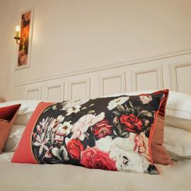 BELLE REINE - 3 APPARTEMENTS EN COEUR DE CENTRE-VILLE, hotel in Aix-les-Bains