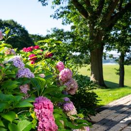 Skanderborg Park, hotel i Skanderborg