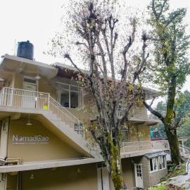 NomadGao Dharamkot - A social hotel with Coworking, fast Wifi, peaceful rooms, and great views - Close to Mcleodganj, hotel in McLeod Ganj