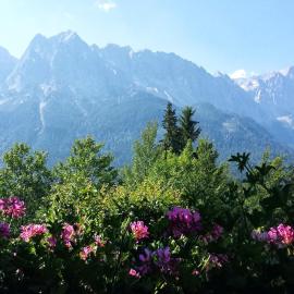 Landhaus Steinbrech, hotel u gradu Grainau