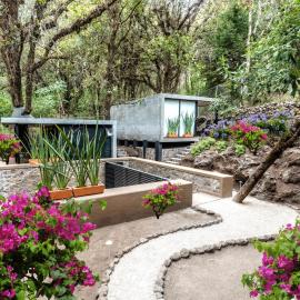 Fungi Tepoz Cabins, hotel in Tlacotenco