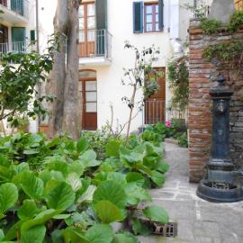Residence Domus, Hotel in Pisa