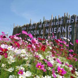คูณ-เนื่อง ฟาร์ม สเตย์ หัวหิน Koon & Nueang Farm Stay Hua Hin, hotel in Ban Bo Fai