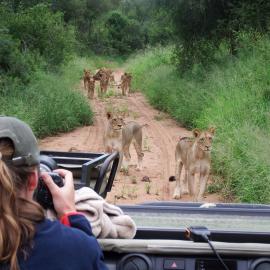 NDZUTI BUSH CAMP, hotel v destinaci Rezervace Balule