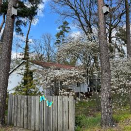 Ruime Chalet i/h bos met grote tuin en zwembad โรงแรมในเอนส์เคอเด
