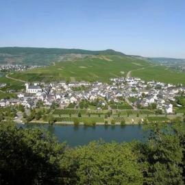 Fewo-Minheim, hotel Minheimben