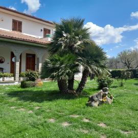 Fuori dal Borgo...., hotell sihtkohas Vitorchiano