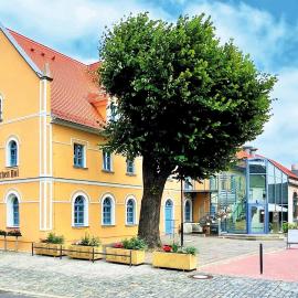 Pension "Zum Reußischen Hof", hotel en Thallwitz