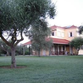 Phyllida Guest House - A1, hotel in Zacharo