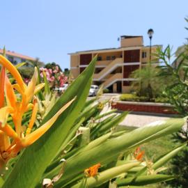 Depa Calpan