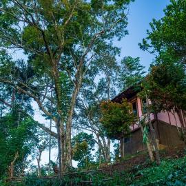 The Woods - Birding, Farming & Eco Living, hotel in Haputale