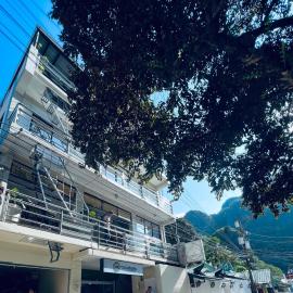 Alocasia Inn - El Nido