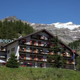 La Trinitè Monboso Hotel, Hotel in Gressoney-la-Trinité