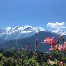 Appartement au pays du Mont-Blanc