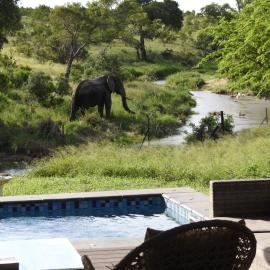Barn Owl Lodge, Mjejane Game Reserve, Greater Kruger Park、Hectorspruitのホテル