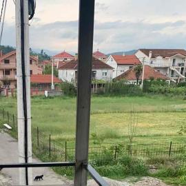 NIKOLA studio