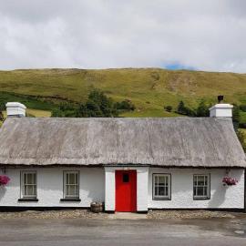 Eddie's Thatched Roadside Cottage, hotell sihtkohas Whitefield