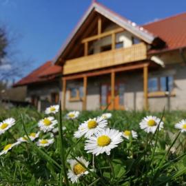 Wandertraum Johann - FeWo Eifel, Hotel in Kruft