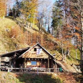 A Cottage in the Alps for hiking, cycling, skiing, hotel in Jesenice