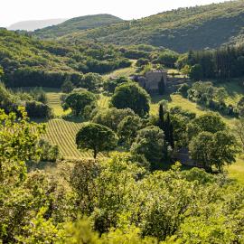 Ferme d'hôtes de Pouzes