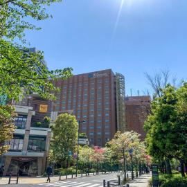 Hotel Metropolitan Edmont Tokyo, хотел в Токио
