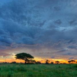 Khoi-Khoi Guesthouse, hotel a Otavi