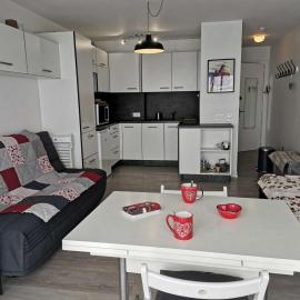 Charmant studio 4 pers avec balcon, centre station, proche pistes, ascenseur - FR-1-404-95