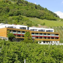 Bio & Wellnesshotel Pazeider - Healing Garden above Meran, hotel v destinaci Marlengo