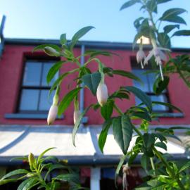 Western House, hotel v destinaci Llangennith