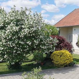 Ferienhaus Ruhe Oase im Bayerischen Wald, Hotel in Traitsching