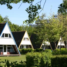 Ferienhaus in Damp for 8 Personen