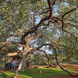 ZuriCamp - Campsite Halishi, מלון בצומב