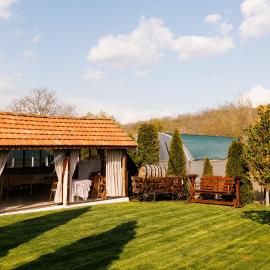 Pensiunea Doina și Ion, hotel in Mileştii Mici