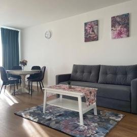 FOCUS APARTAMENT, hotel in Floreşti