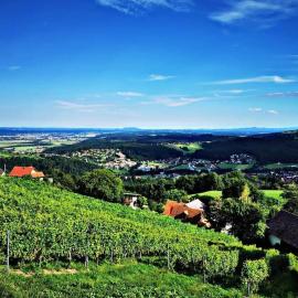 WIEDNERMICHL - Urlaub in den Weinbergen, hotell sihtkohas Krottendorf bei Ligist