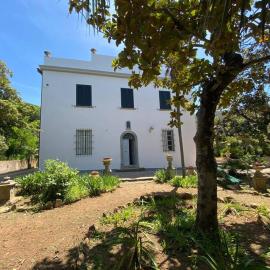 Villa Sant'Antonio con ampio giardino a due passi dal mare, hotel in Bagnaia