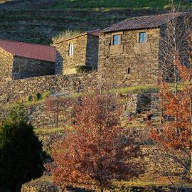 Cardenha do Douro, hotel in Mesão Frio
