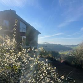 Traumferienwohnung am Wald 2, hotel em Daun