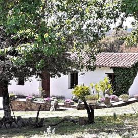B&B I Menhir, hotel en Sorgono