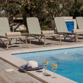 The Olive Poolhouse