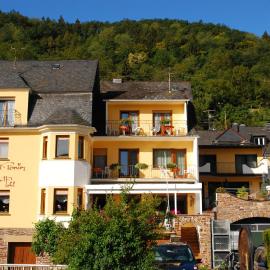 Weingut Pension Gibbert-Pohl, hotel din Briedel