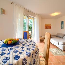 Apartment Camellia, hotel in Vantačići