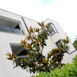 Luxury apartments Aronia, hotel en Vantačići