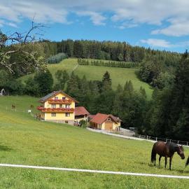 Urlaub am Bauernhof Familie Kitting, ξενοδοχείο σε Vorau