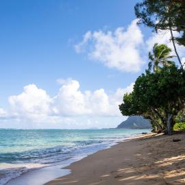 Breezy Beachfront Bali-Style Haven 180 Degree OceanView, hotel v destinaci Hauula